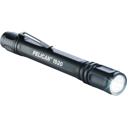 1920 ProGear Flashlights, LED, 120 Lumens, AAA Batteries Infinity Industrial Services Inc.
