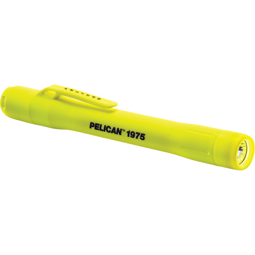 Lampe de poche, DEL, 117 lumens, Piles AAA Infinity Industrial Services Inc.