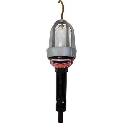 Baladeuses pour emplacements dangereux Infinity Industrial Services Inc.