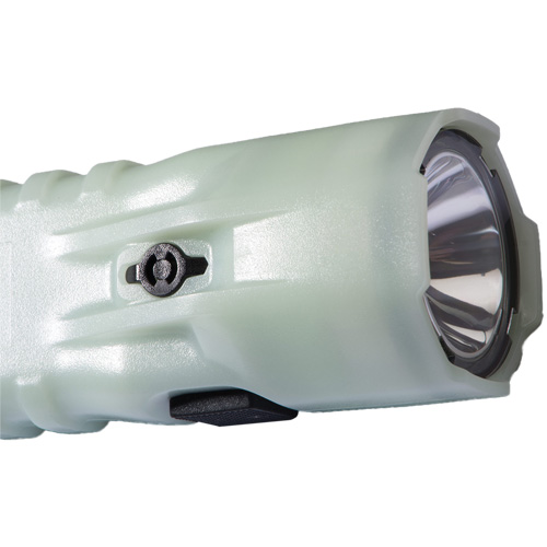 Lampe de poche, DEL, 378 lumens, Piles AA Infinity Industrial Services Inc.