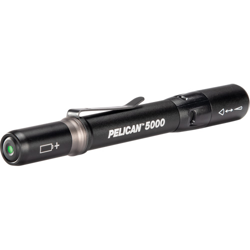 Lampe de poche, DEL, 202 lumens, Piles AAA Infinity Industrial Services Inc.