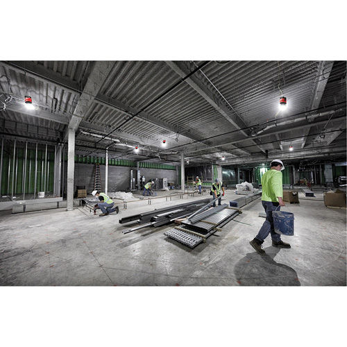 RADIUS Temporary Site Light, LED, 130 W, 15000 Lumens Infinity Industrial Services Inc.