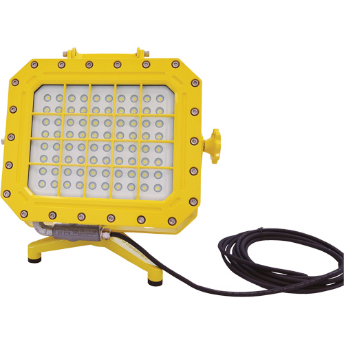 Explosion Proof Floodlight with Floor Stand, LED, 40 W, 5600 Lumens, Aluminum Housing Infinity Industrial Services Inc.