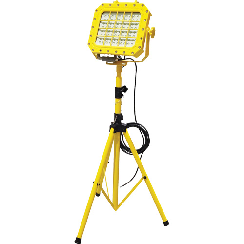 Diffuseur anti-d&eacute;flagration avec tr&eacute;pied, DEL, 40 W, 5600 lumens, Boîtier en Aluminium Infinity Industrial Services Inc.