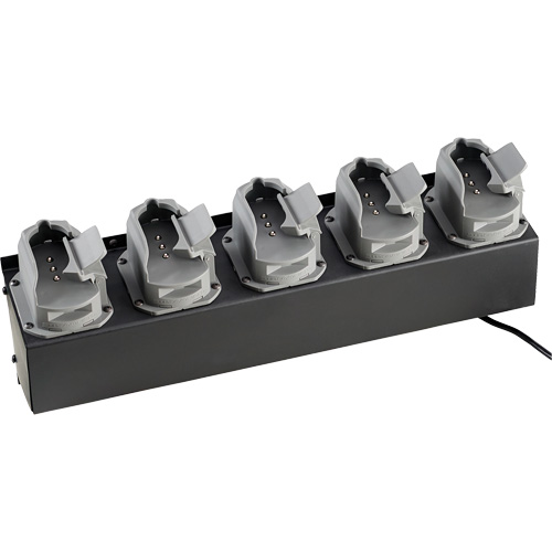 Chargeur de batteries de lampe de poche Survivor X Infinity Industrial Services Inc.