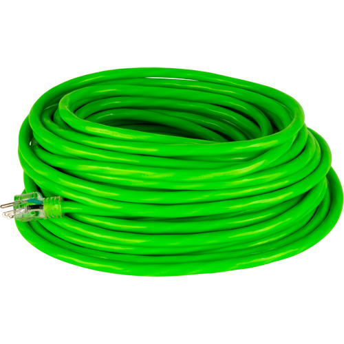 Industrial Extension Cord, All-Weather, SJTW, 10/3 AWG, 15 A, 100' Infinity Industrial Services Inc.