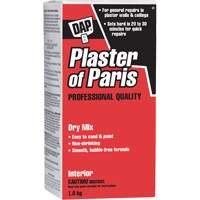 Plaster of Paris Dry Mix, 2 kg, Box Infinity Industrial Services Inc.