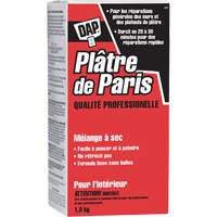 Plaster of Paris Dry Mix, 2 kg, Box Infinity Industrial Services Inc.
