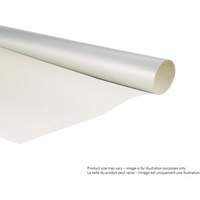 Double-Coated Tape, 25.4 mm (1") W x 55 m (180') L, 6.7 mils Infinity Industrial Services Inc.