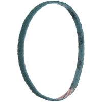 Courroies de traitement des surfaces Scotch-Brite Infinity Industrial Services Inc.