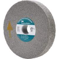 Meule d'&eacute;barbage EXL Scotch-Brite, 6" x 1", Arbre de 1" Infinity Industrial Services Inc.