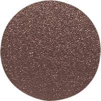Wood Sanding Disc, 12" Dia., 60 Grit Infinity Industrial Services Inc.