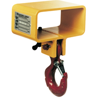 Forklift Crane Hooks