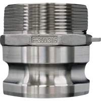 Accouplement &agrave; came et rainure, Acier inoxydable, Type F, 3/4", NPT m&acirc;le, 250 PSI Infinity Industrial Services Inc.