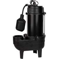 Cast Iron Sewage Pump, 120 V, 9.5 A, 6000 GPH, 1/2 HP Infinity Industrial Services Inc.