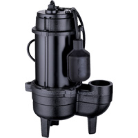 Cast Iron Sewage Pump, 120 V, 9.5 A, 6000 GPH, 1/2 HP Infinity Industrial Services Inc.
