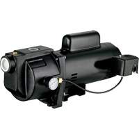 Dual Voltage Cast Iron Shallow Well Jet Pump, 115 V/230 V, 1260 GPH, 1 HP Infinity Industrial Services Inc.