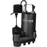 Cast Iron Submersible Sump Pump with Vertical Float Switch, 67 GPM, 33 V, 5 A, 1/3 HP Infinity Industrial Services Inc.