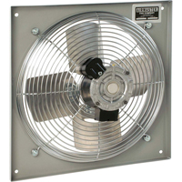 All Purpose Wall Fans, Commercial, 2 Speed, 10" Diameter Infinity Industrial Services Inc.