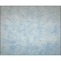 High-Arrestance Synthetic Media Filters, Pad, MERV 5, 24" W x 2" D x 12" H Infinity Industrial Services Inc.