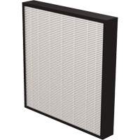 AeraMax&reg; Pro AM3 & AM4 2" True HEPA Filter, Box, 13.75" W x 2.25" D x 14.38" H Infinity Industrial Services Inc.