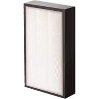 AeraMax&reg; Pro AM2 1-3/4" True HEPA Filter, Box, 7.38" W x 1.88" D x 12.88" H Infinity Industrial Services Inc.