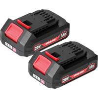 2.0Ah Lithium Battery - 2 Pack, 20 V Infinity Industrial Services Inc.