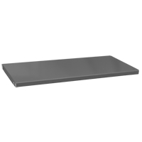 Replacement Cabinet Shelves, 35-1/2" x 16-3/8", 900 lbs. Capacity, Steel, Grey Infinity Industrial Services Inc.