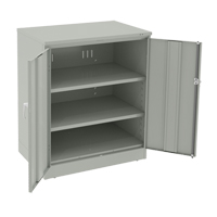Deluxe Counter High Cabinet, Steel, 2 Shelves, 42" H x 36" W x 24" D, Light Grey Infinity Industrial Services Inc.
