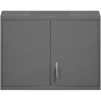Wall-Mounted Cabinet, 27" H x 29-7/8" W x 13-11/16" D, 2 Shelves, Steel, Grey Infinity Industrial Services Inc.