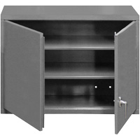 Wall-Mounted Cabinet, 27" H x 29-7/8" W x 13-11/16" D, 2 Shelves, Steel, Grey Infinity Industrial Services Inc.