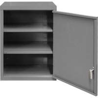 Wall-Mounted Cabinet, 27" H x 13-11/16" W x 18" D, 2 Shelves, Steel, Grey Infinity Industrial Services Inc.