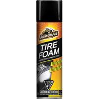 Tire Foam&reg; Protectant Infinity Industrial Services Inc.