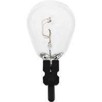 3157 Mini-ampoule automobile &agrave; longue dur&eacute;e de vie, Incandescente, 26,9 W/8,3 W, Blanc cass&eacute; Infinity Industrial Services Inc.