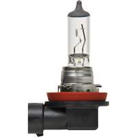 H8 Basic Headlight Bulb, Halogen, 35 W, Off White Infinity Industrial Services Inc.