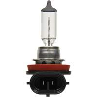H8 Basic Headlight Bulb, Halogen, 35 W, Off White Infinity Industrial Services Inc.