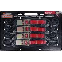 Ratchet Tie Downs
