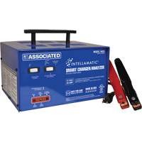 Intellamatic&reg; 12 Volt Charger, Analyzer & Power Supply Infinity Industrial Services Inc.