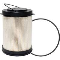 Fuel Filters