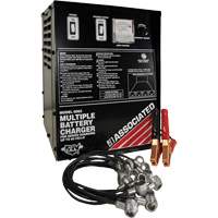 Multi-Battery Series Charger Infinity Industrial Services Inc.