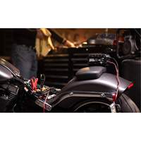 Chargeur de batterie 10 A Genius 10 Infinity Industrial Services Inc.