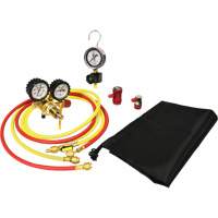 Automotive A/C Nitrogen Leak Test Kit with Regulator Infinity Industrial Services Inc.