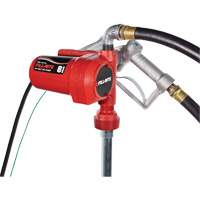 Pompe de transfert de carburant 12 V CC avec pistolet Infinity Industrial Services Inc.