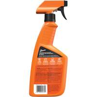 Nettoyant automobile tout usage, 16 oz/473 ml, Bouteille &agrave; g&acirc;chette Infinity Industrial Services Inc.