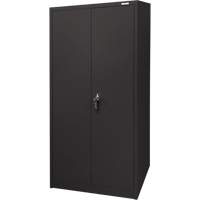 Storage Cabinet, Steel, 4 Shelves, 66" H x 30" W x 15" D, Black Infinity Industrial Services Inc.