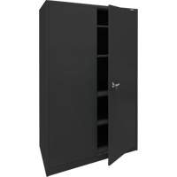 Armoire d'entreposage, Acier, 4 Tablettes, 78" h x 48" la x 24" P, Noir Infinity Industrial Services Inc.