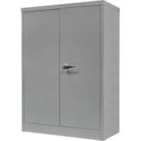 Counter-High Storage Cabinet, Steel, 2 Shelves, 42" H x 48" W x 24" D, Grey Infinity Industrial Services Inc.
