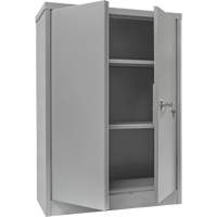 Counter-High Storage Cabinet, Steel, 2 Shelves, 42" H x 48" W x 24" D, Grey Infinity Industrial Services Inc.
