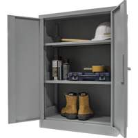 Counter-High Storage Cabinet, Steel, 2 Shelves, 42" H x 48" W x 24" D, Grey Infinity Industrial Services Inc.