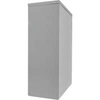 Counter-High Storage Cabinet, Steel, 2 Shelves, 42" H x 48" W x 24" D, Grey Infinity Industrial Services Inc.
